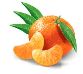 Sorbet mandarine